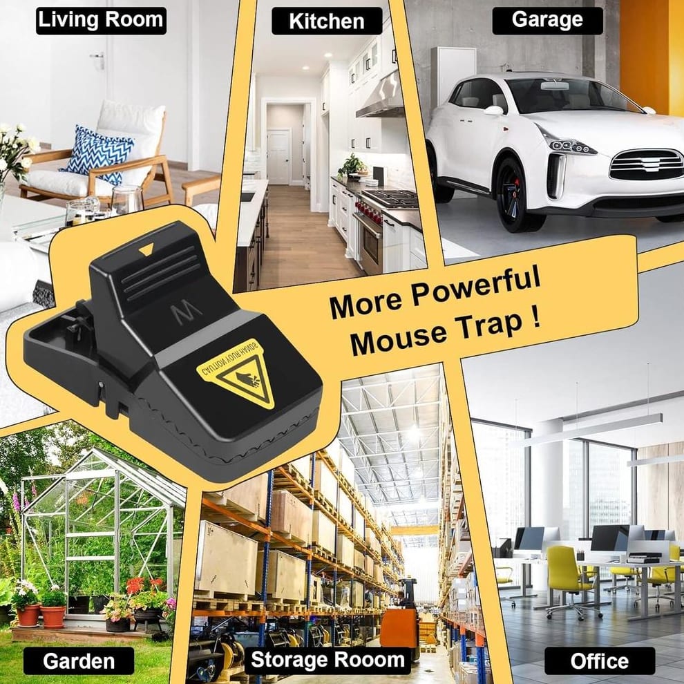 Mouse Trap Mouse Catcher - Pack of 3 | Powerful Snap Traps for Instant Rodent Control