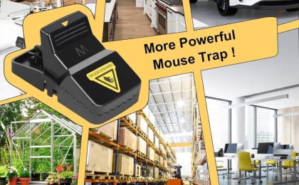 Mouse Trap Mouse Catcher - Pack of 3 | Powerful Snap Traps for Instant Rodent Control