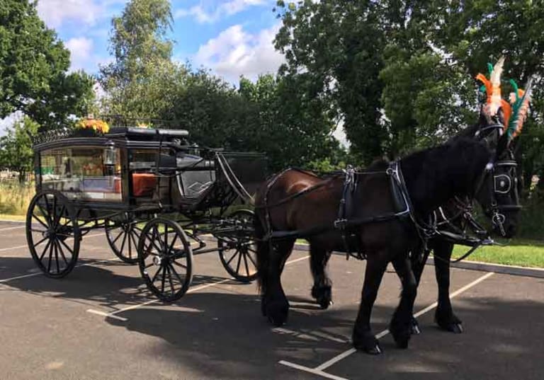 Black horse hearse