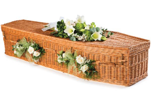 Willow traditional shape coffin