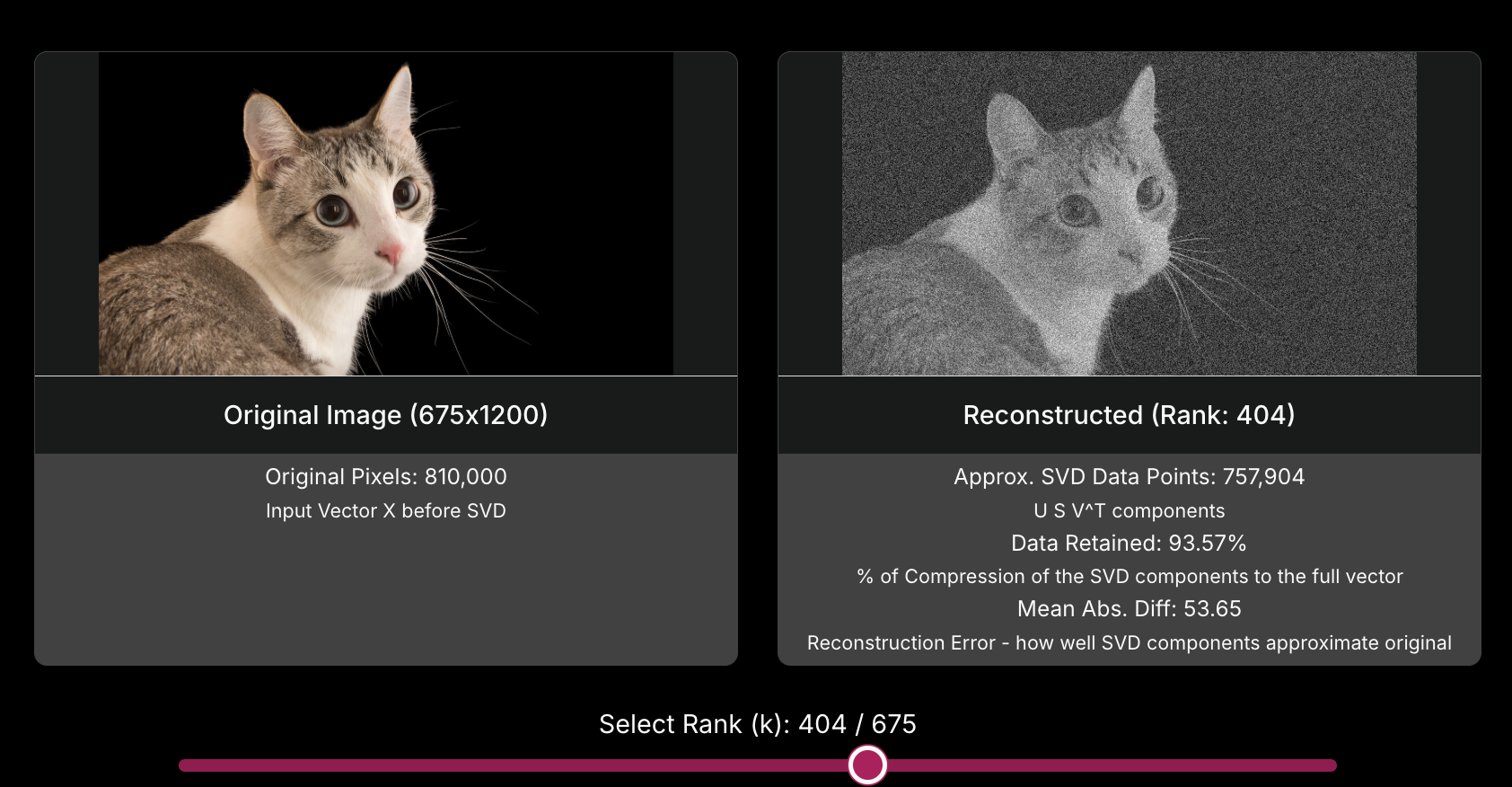 SVD Image Compression & PCA Deep Dive Created by Kuriko Iwai