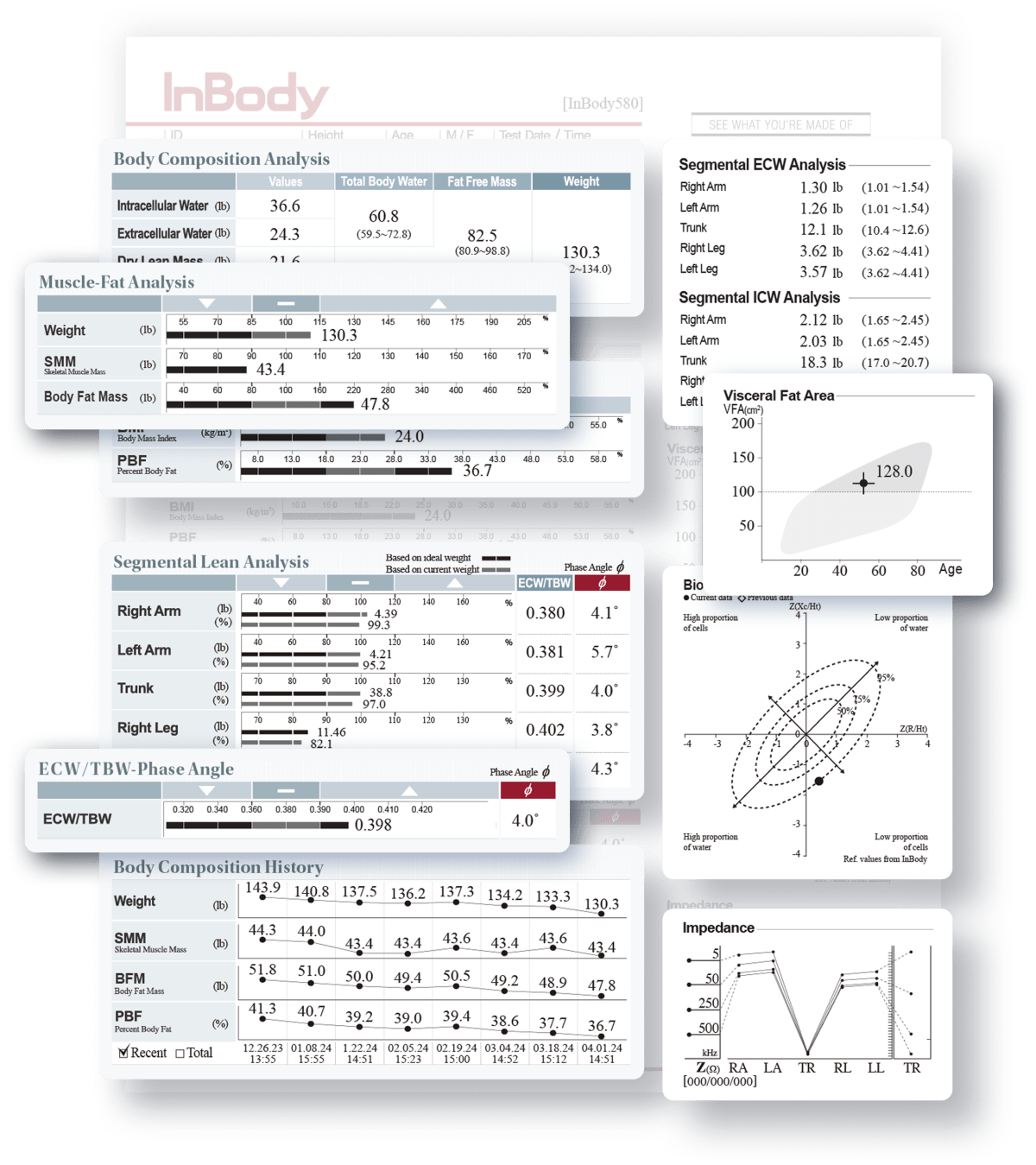 Inbody Building InBody Scan — Know Your Body. Build Your Plan. | Maui Powerhouse Gym