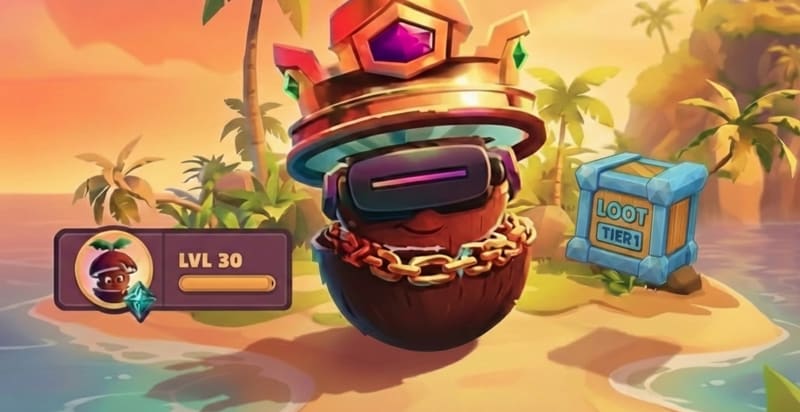 Kokomo XP and Levelling System: How to Earn Rewards