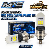 Bombillo Farola una Pata Cabeza Plana H6-6000K