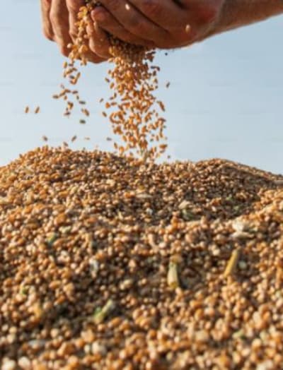 El valor del dinero en el tiempo