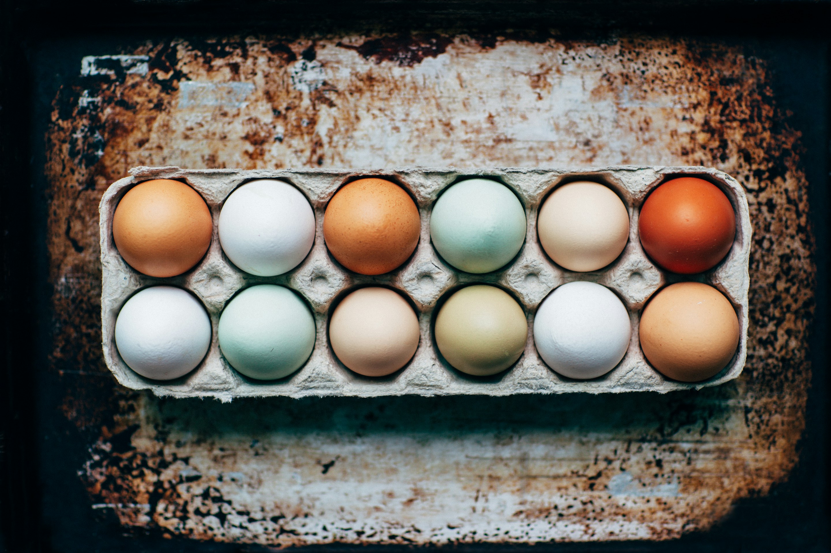 Quality Poultry & Eggs