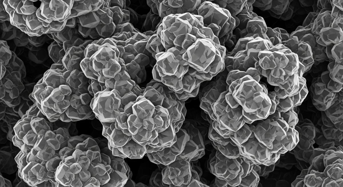 An ultra-high contrast, 3D textured black-and-white scanning electron microscope (SEM) image of a peptide crystalline structure.