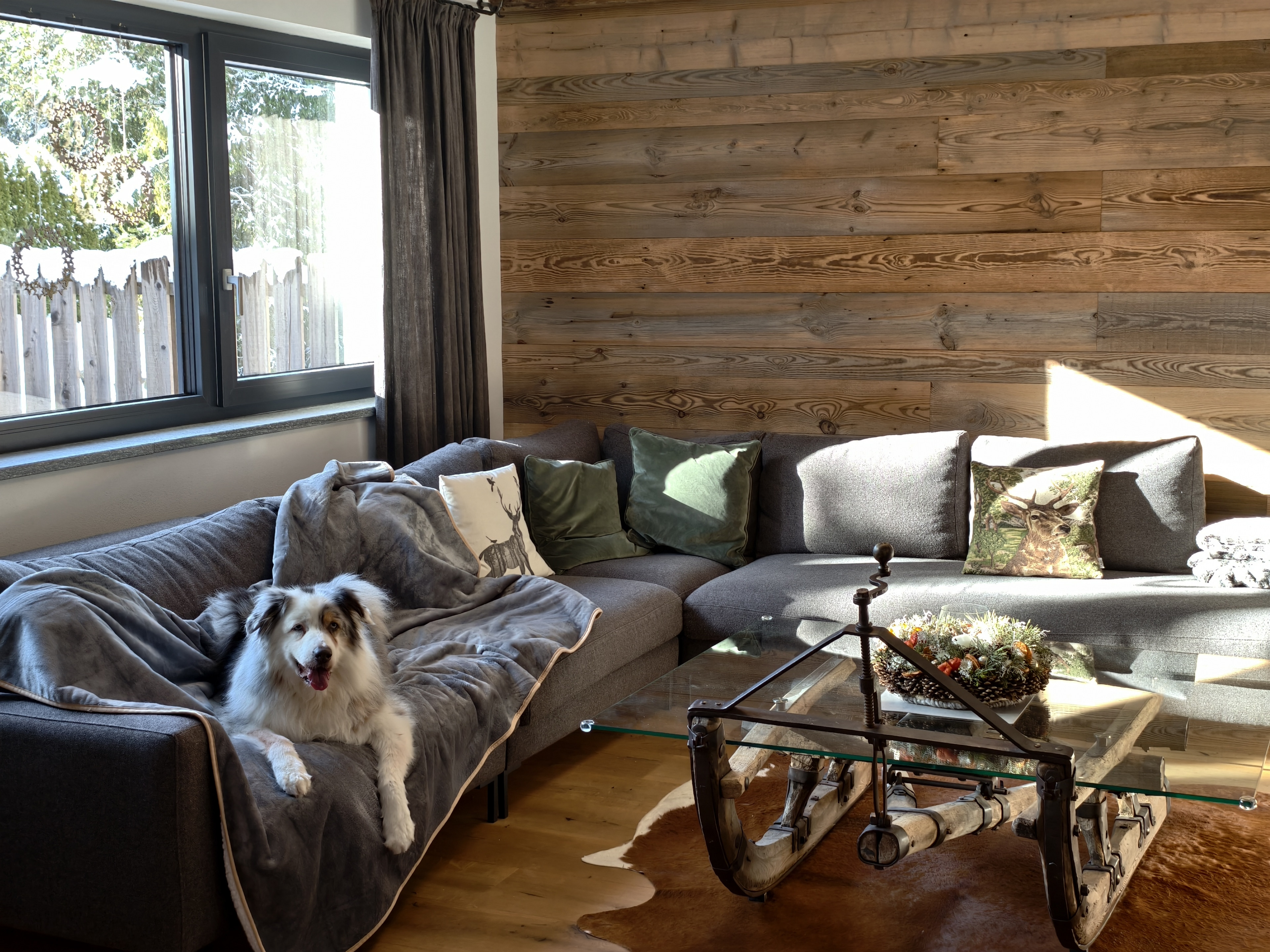 Eingezäunter Außenbereich - ideal, wenn mit Hund gereist wird