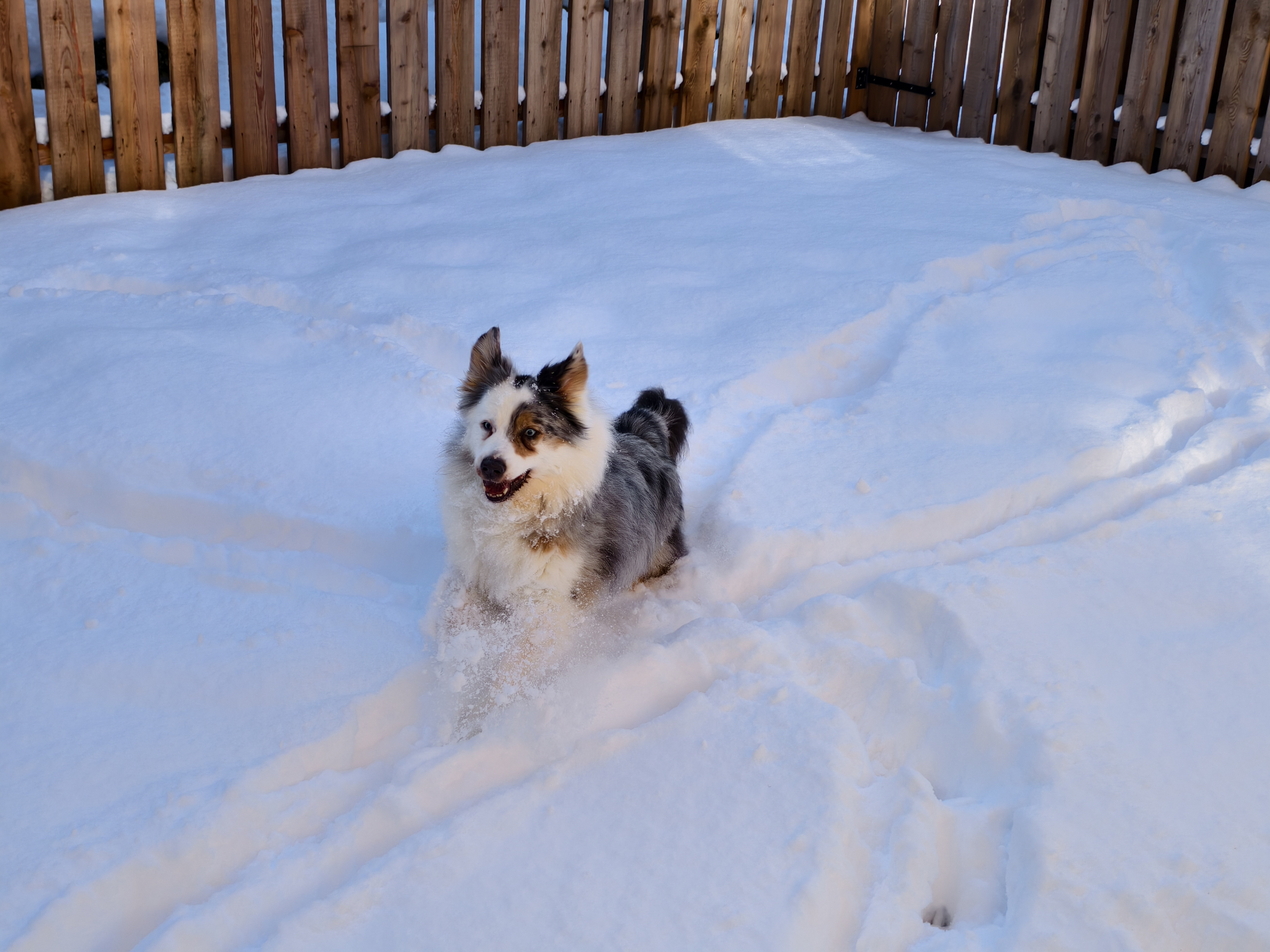 Eingezäunter Außenbereich - ideal, wenn mit Hund gereist wird