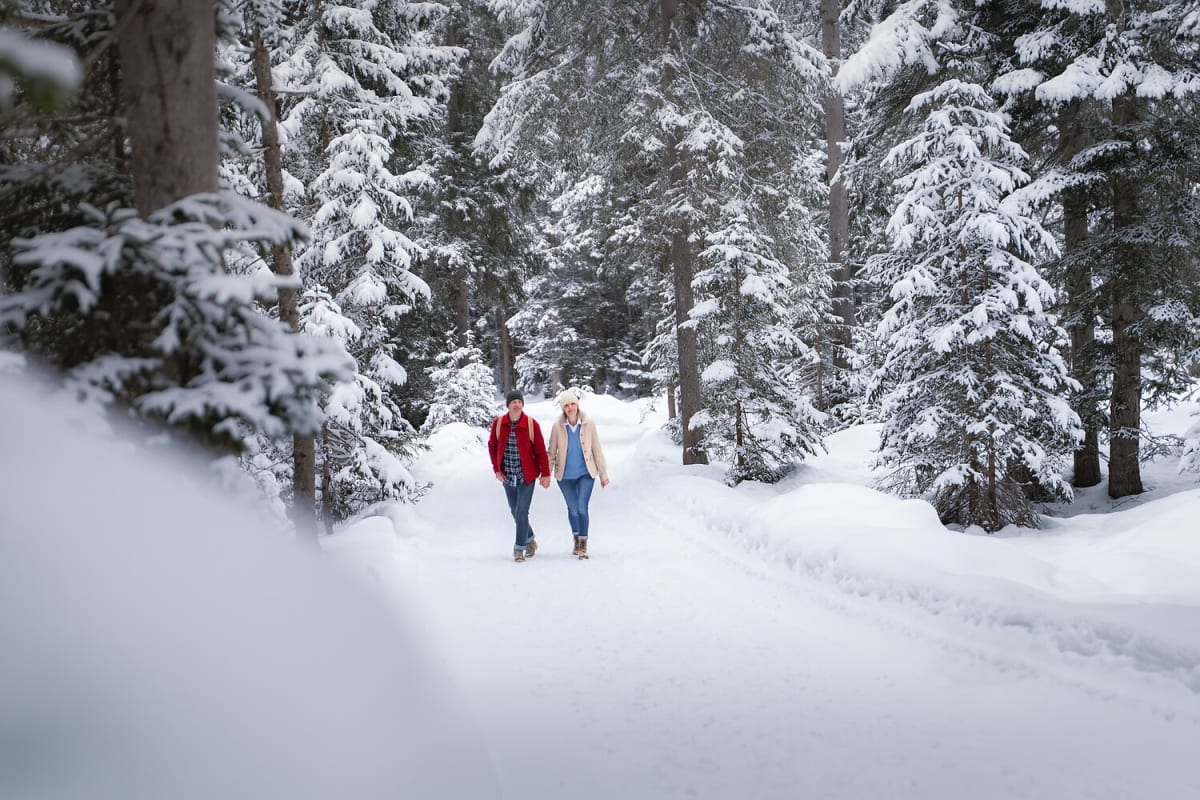 Vintervandringsled i snötäckt landskap