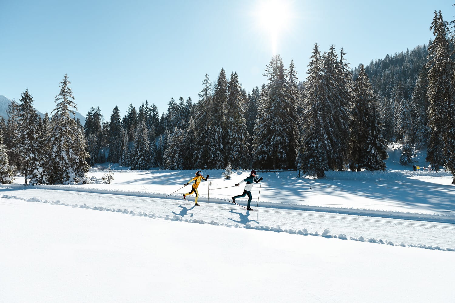 Dva běžkaři bruslením na slunné stopě v zasněženém lese regionu Seefeld