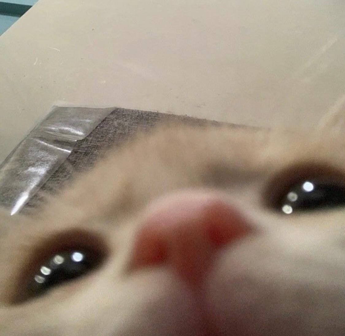 Loot Paths (UNDER CONSTRUCTION)