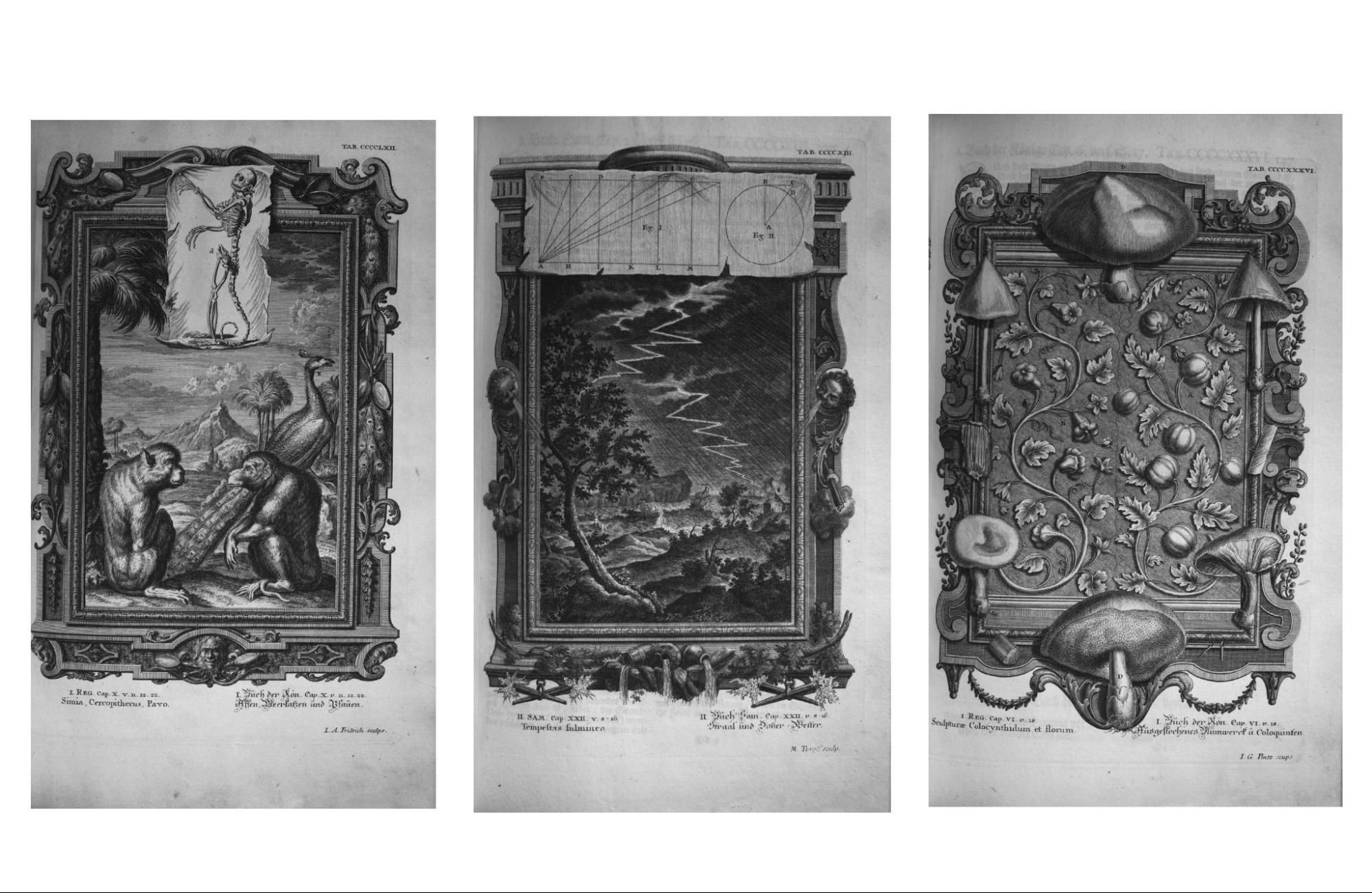 Picture of Prompting. Flora. Archives.