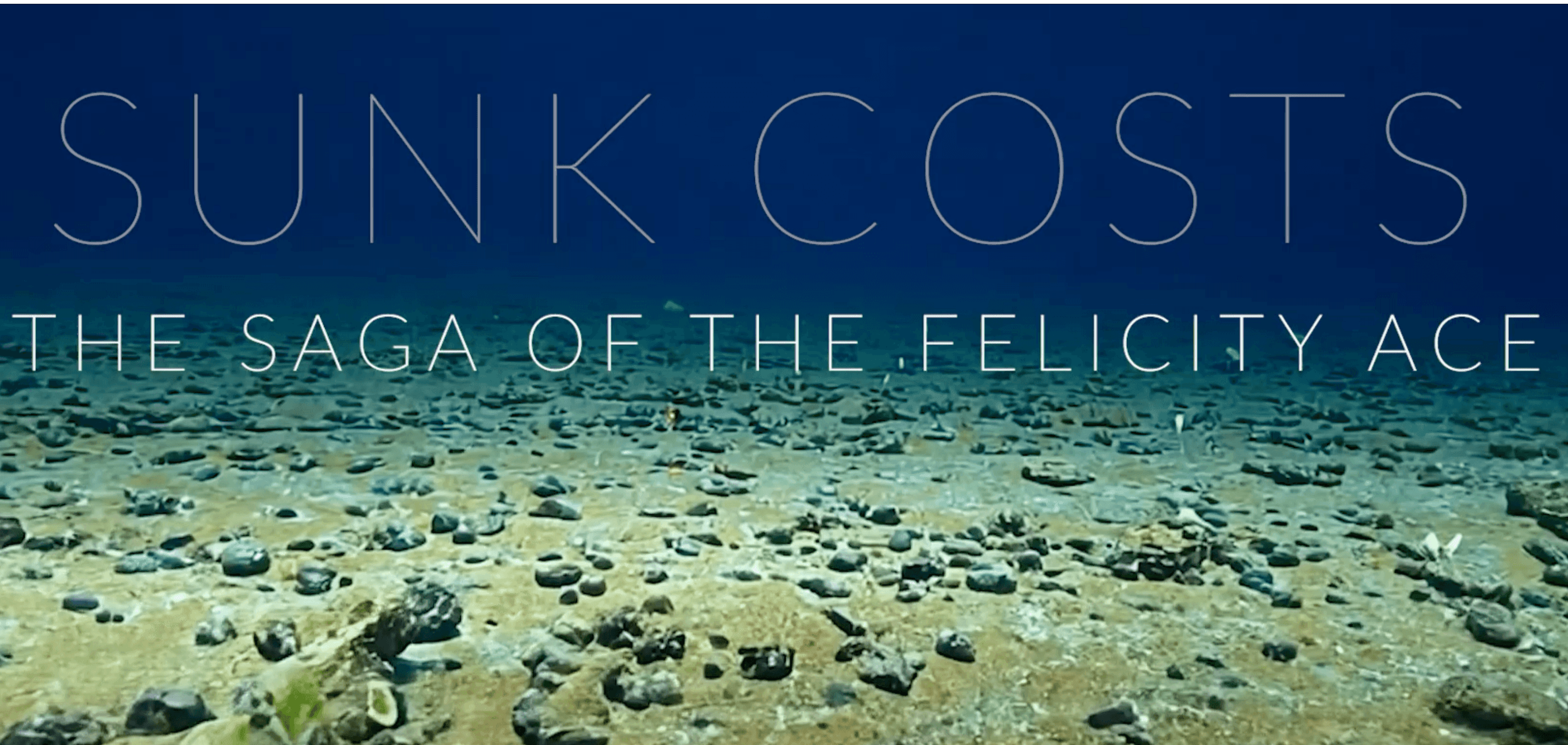 Picture of SUNK COSTS: The Saga of the Felicity Ace @ Newspeak House