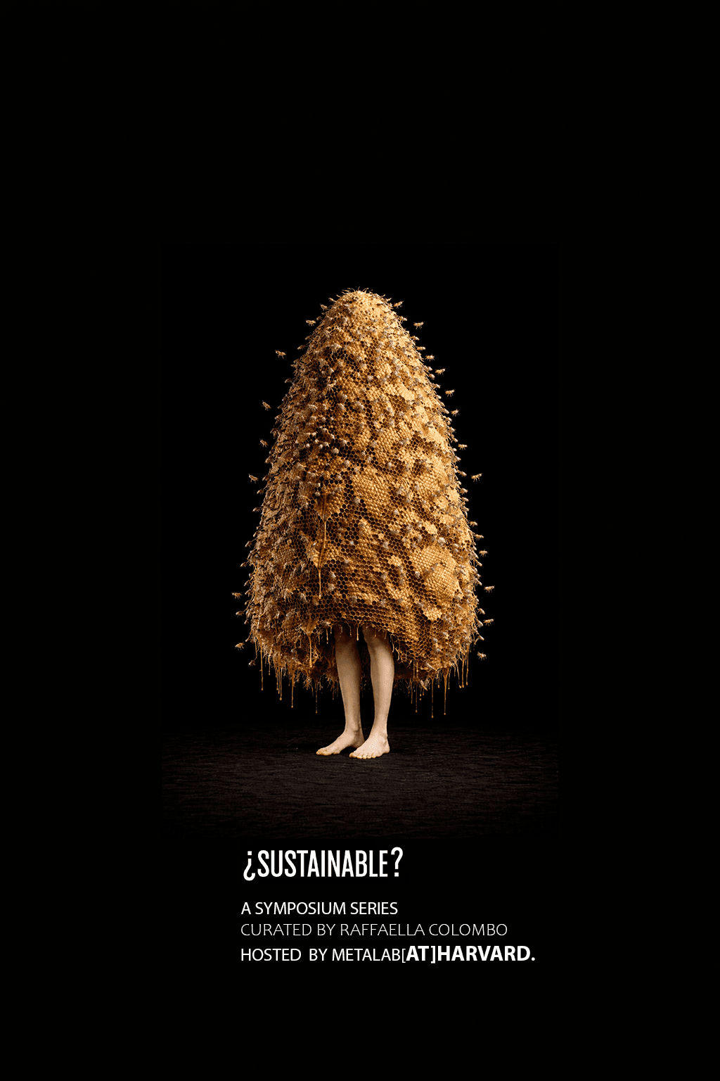 Picture of Lands and Communities