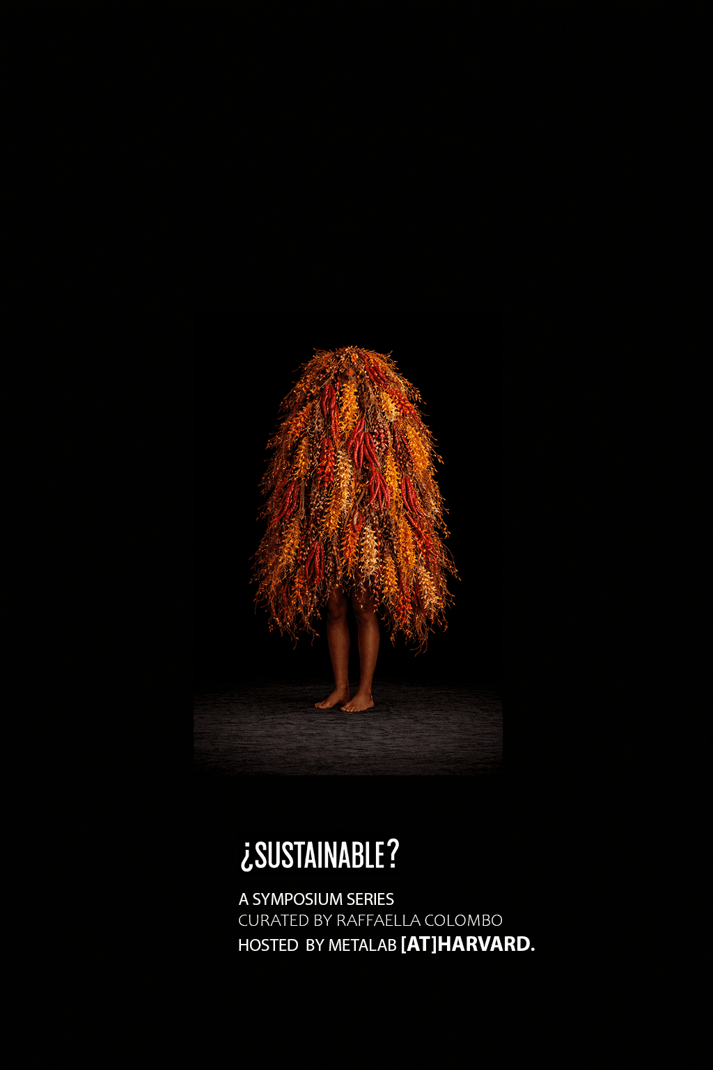 Picture of The Built Environment