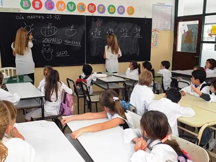 Docentes