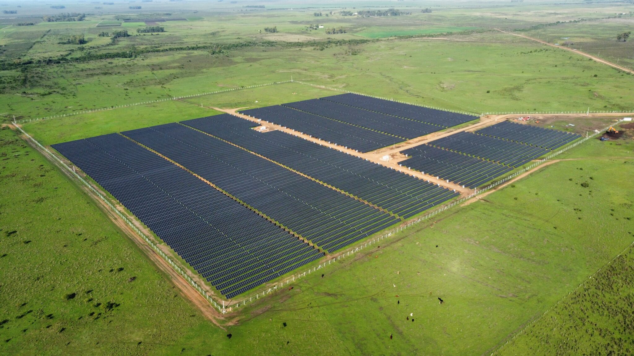 Hito en Uruguay: Primer parque solar privado de venta de energía junto a Ventus Global