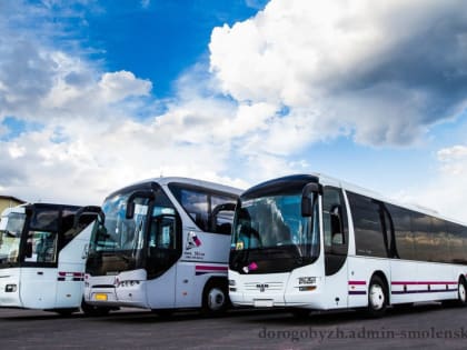 Действующее расписание движения транспортных средств