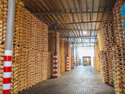 Алексей Островский инициировал проверку по факту видео с оскорблением учителя школьником