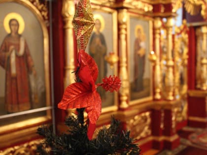 Духовенство, монашествующие и миряне Вяземской епархии поздравили владыку Сергия с Рождеством Христовым
