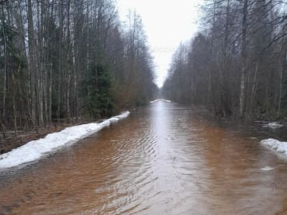 В Ярцевском районе Смоленской области подтопило участок автомобильной дороги