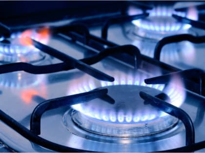 JB Press: Германии грозит рецессия после отказа России от поставок газа