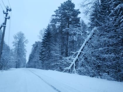 В Смоленске сделали прогноз рисков на воскресенье