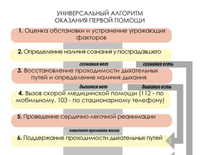 В России утвержден универсальный алгоритм оказания первой помощи