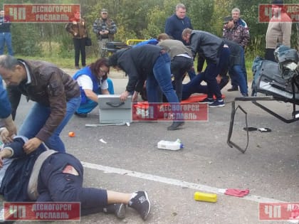 В Смоленской области произошла жуткая авария (фото)