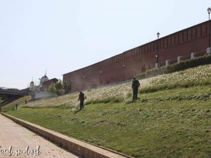 МБУ «Зеленстрой» продолжает работы по облагораживанию территорий Смоленска