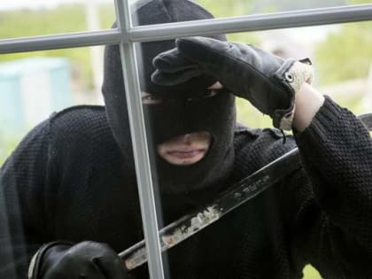 В Ярцеве изловили дачного вора