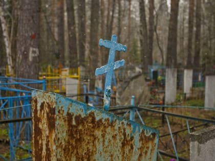 В Смоленской области задержали серийных кладбищенских воров