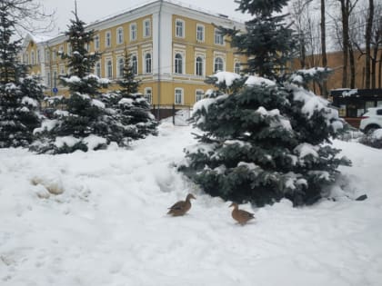 В новогоднюю ночь движение в центре Смоленска полностью закроют