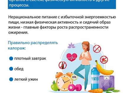 В Смоленской области стартовала неделя популяризации подсчёта калорий