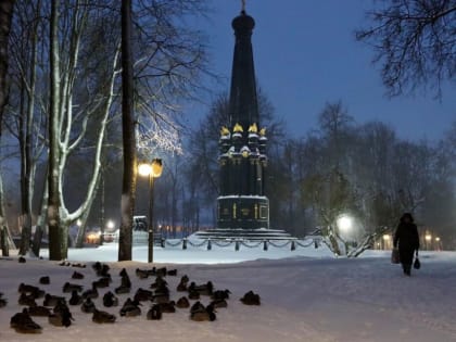 Убивают уток, гоняют котов: смоляне жалуются на собак в Лопатинском саду