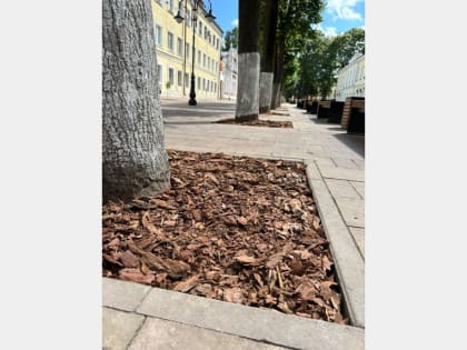 «Зеленстрой» продолжает благоустраивать общественные территории Смоленска