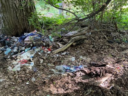 В Смоленске ликвидировали очередную свалку