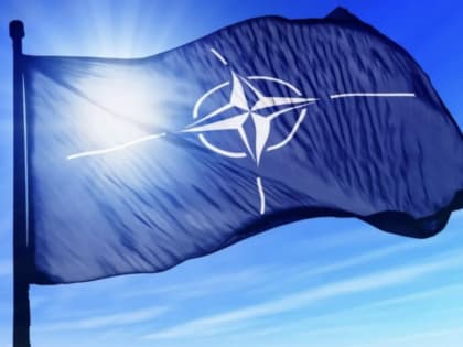СМИ: Украина должна быть принята в состав НАТО уже сейчас