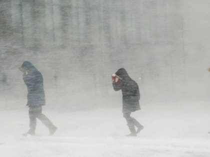 ТОП новостей Смоленска за 15 декабря