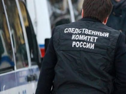 В Смоленске перед судом предстал местный житель по обвинению в совершении особо тяжкого преступления