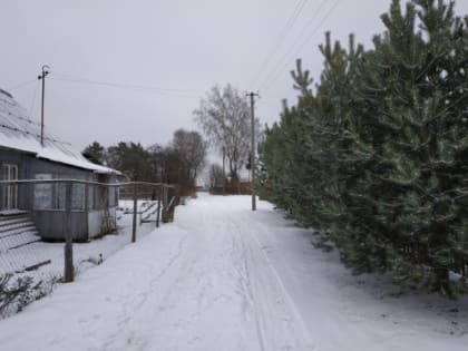 Интернетом по смоленским деревням: к кому придут технологии