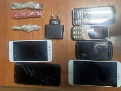 В исправительную колонию в Смоленской области пытались переправить партию телефонов