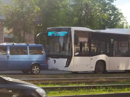 В МЧС рассказали о масштабах страшного лесного пожара под Смоленском