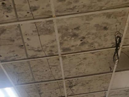 В Смоленске сотрудники Роспотребнадзора обнаружили грибок и плесень в магазине «Микей»