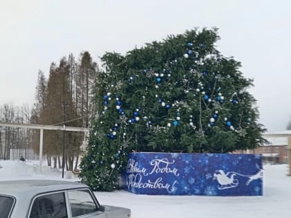 ТОП новостей Смоленска за 11 января