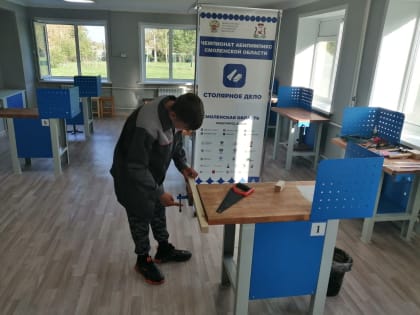 В Смоленской области завершился отборочный этап чемпионата «Абилимпикс»-2023
