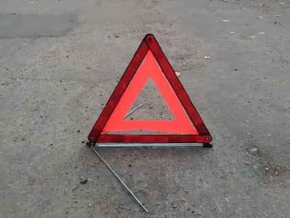 Под Смоленском «Нива» протаранила дерево