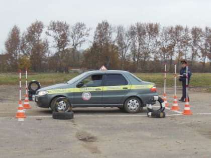 Желающих получить права могут начать проверять на хронический алкоголизм