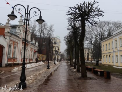 «Зеленстрой» продолжает приводить деревья в областном центре в надлежащее состояние